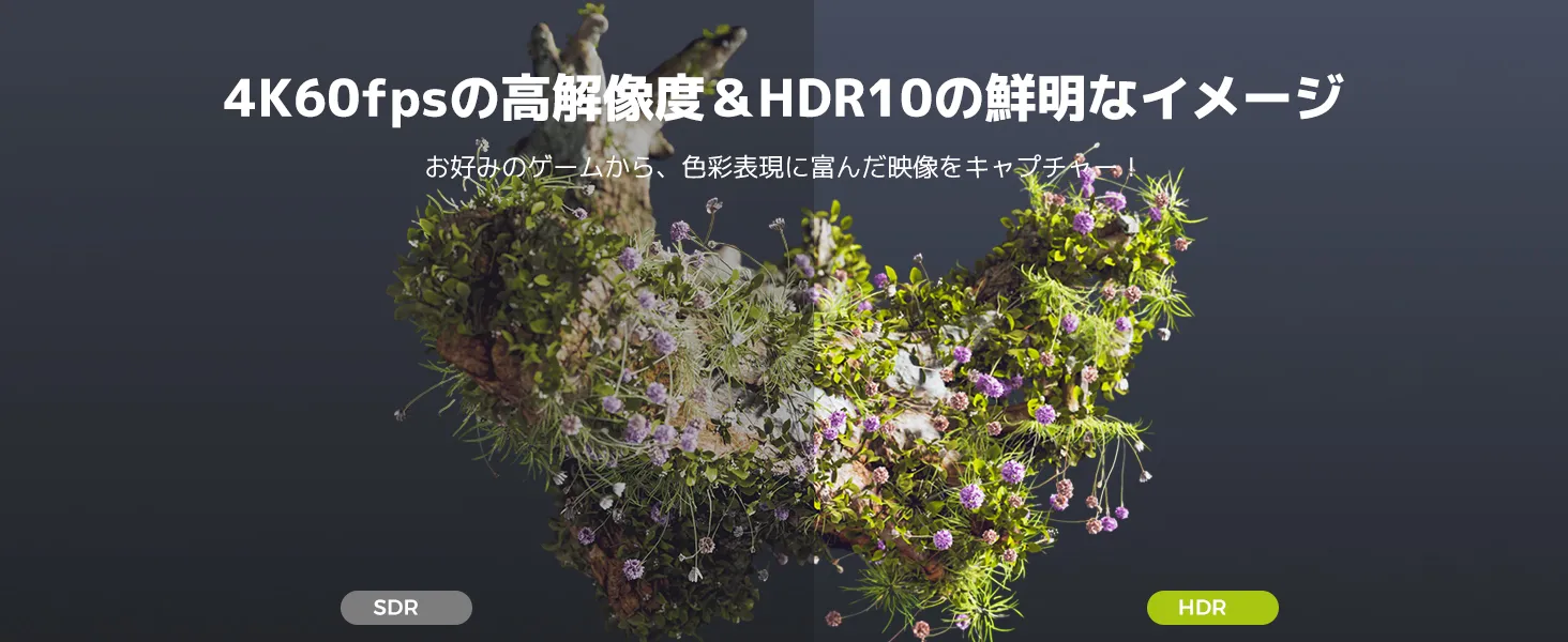 HDR10対応