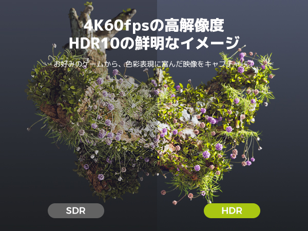 NearStream CCD30 - 4K USB 3.1ビデオキャプチャカード（配信・録画用