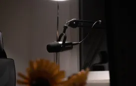 budget mic cover