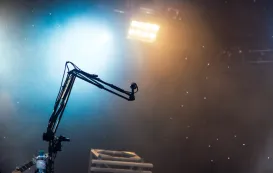 mic cover 12