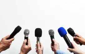 mic cover