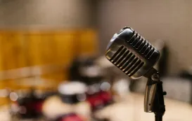mic cover 20