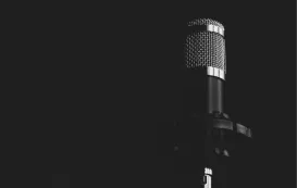 mic cover 7