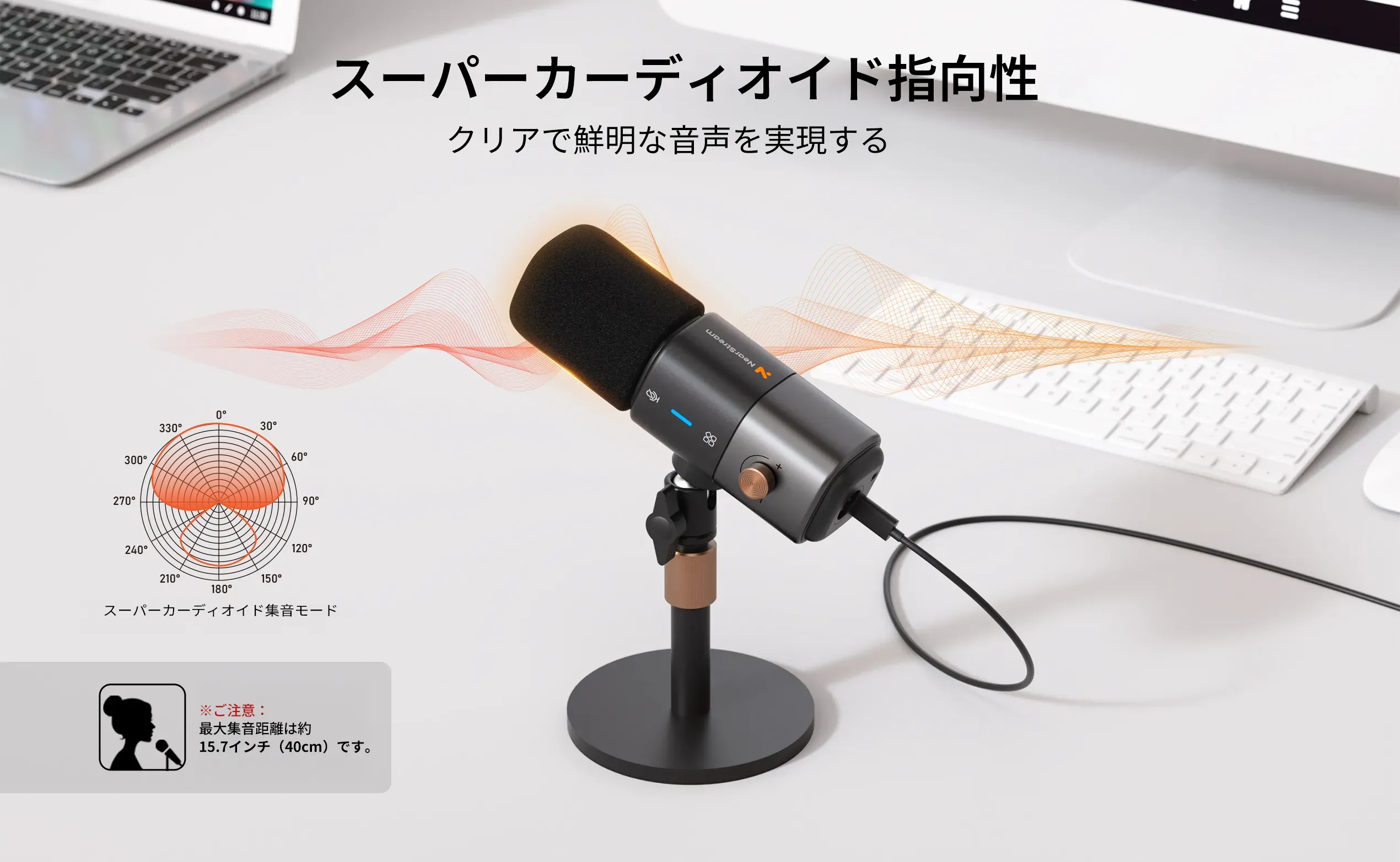 supercardioid mic
